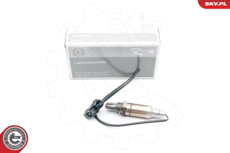 Oxygen Sensor